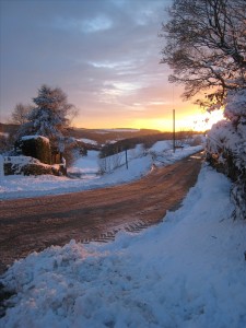 Tresham Lane