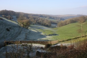 Valley in Spring